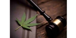 Virginia medical marijuana card